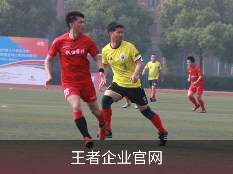 关于王者企业官网